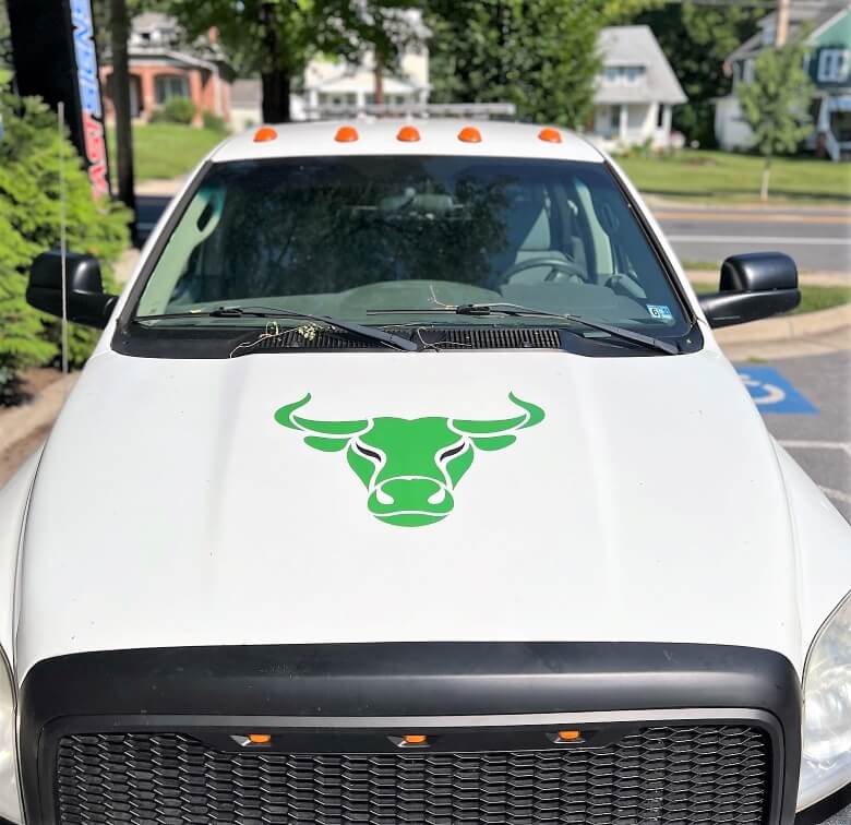 Hood Graphics and Decals